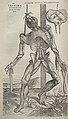 Image 22Vesalius's intricately detailed drawings of human dissections in Fabrica helped to overturn the medical theories of Galen. (from Scientific Revolution)