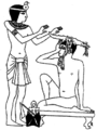 Image 17An Egyptian practice of treating migraine in ancient Egypt. (from Science in the ancient world)