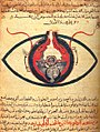 Image 25The eye according to Hunayn ibn Ishaq, c. 1200 (from Science in the medieval Islamic world)